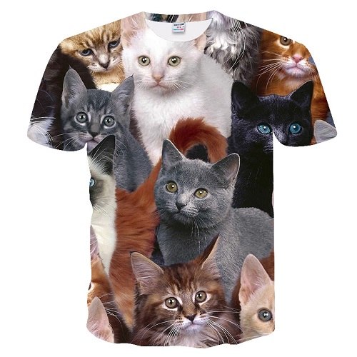 Kittens Printed 3D T-shirt