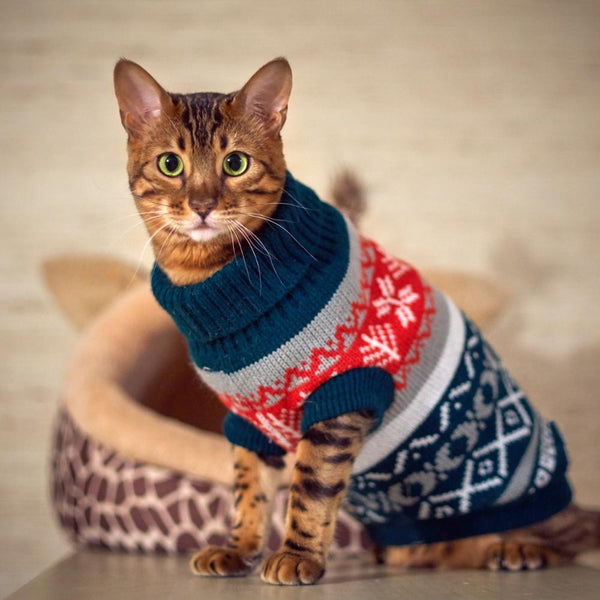 Knitted Cat's Jumper