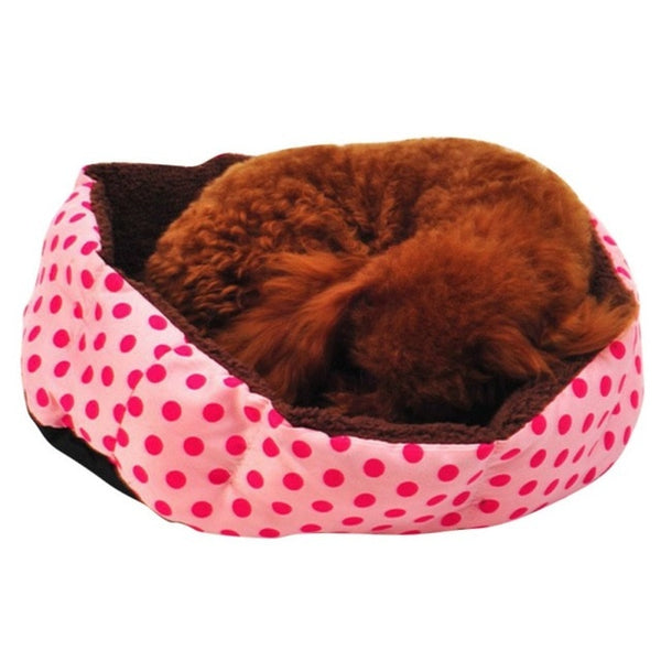 Colorful Cat's Sleeping Bed